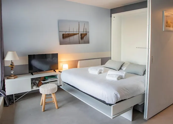 Quo Vadis - Proche Et Parking Prive * Arcachon